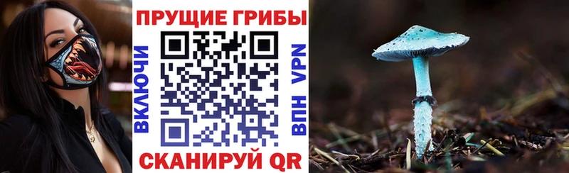 Галлюциногенные грибы Psilocybine cubensis  гидра ссылка  Гаврилов-Ям 
